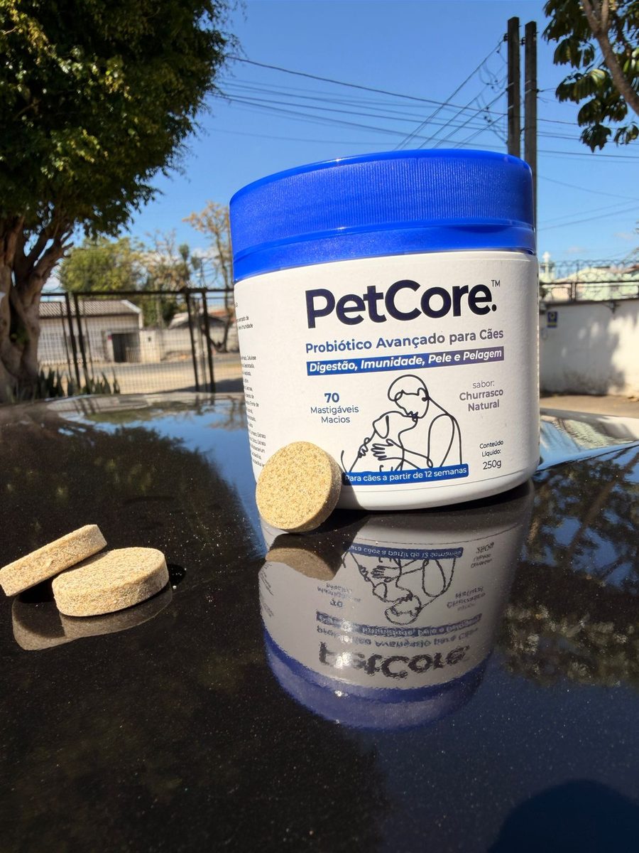 Cão esperando a pastilha de PetCore ao lado do pote